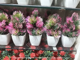 Mini Artificial Flowers & Plants Pack OF 4
