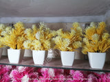 Mini Artificial Flowers & Plants Pack OF 4