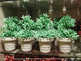 Mini Artificial Flowers & Plants Pack OF 4