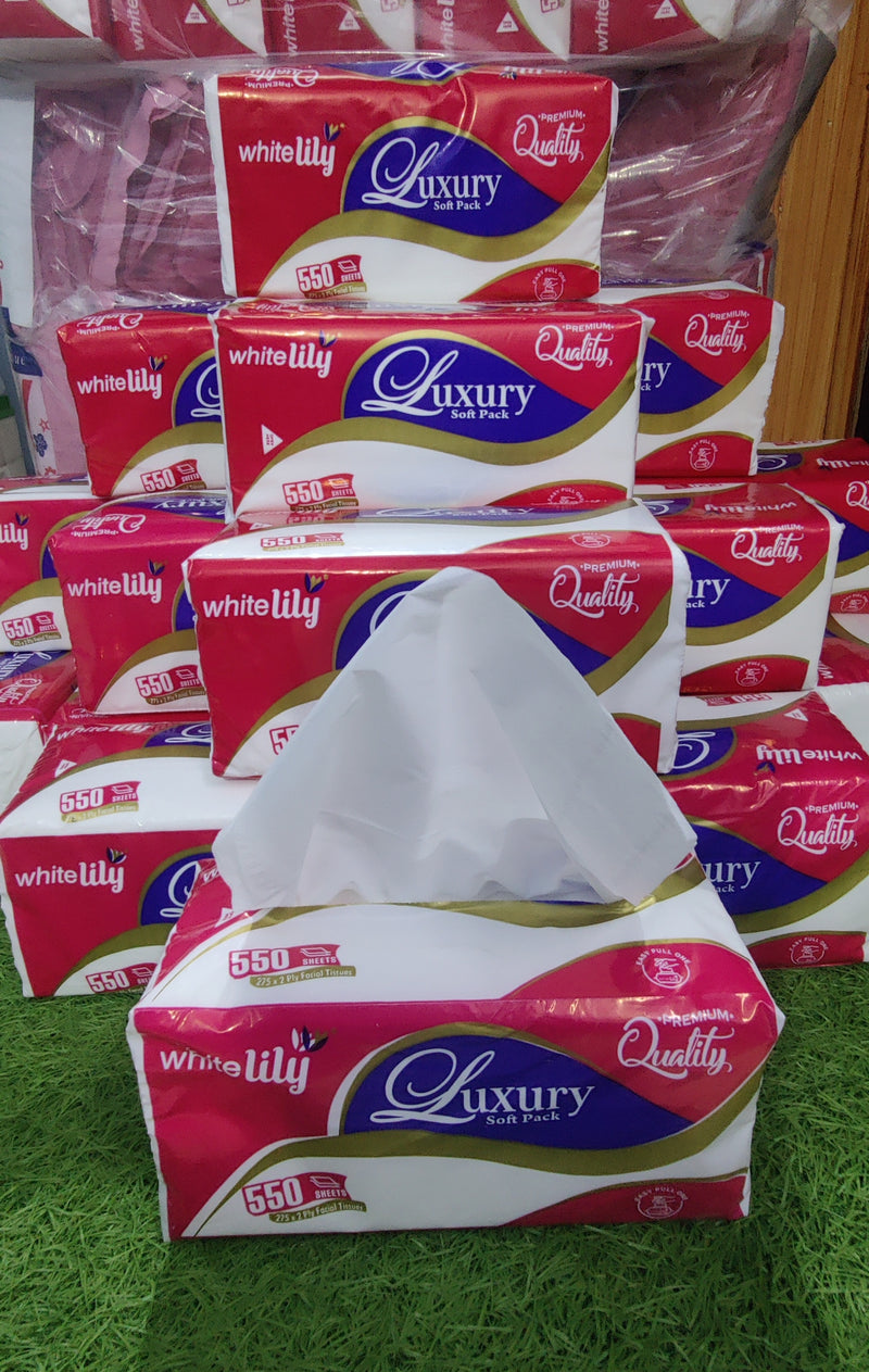 Singapore High quality Soft pure tissue 550 sheet