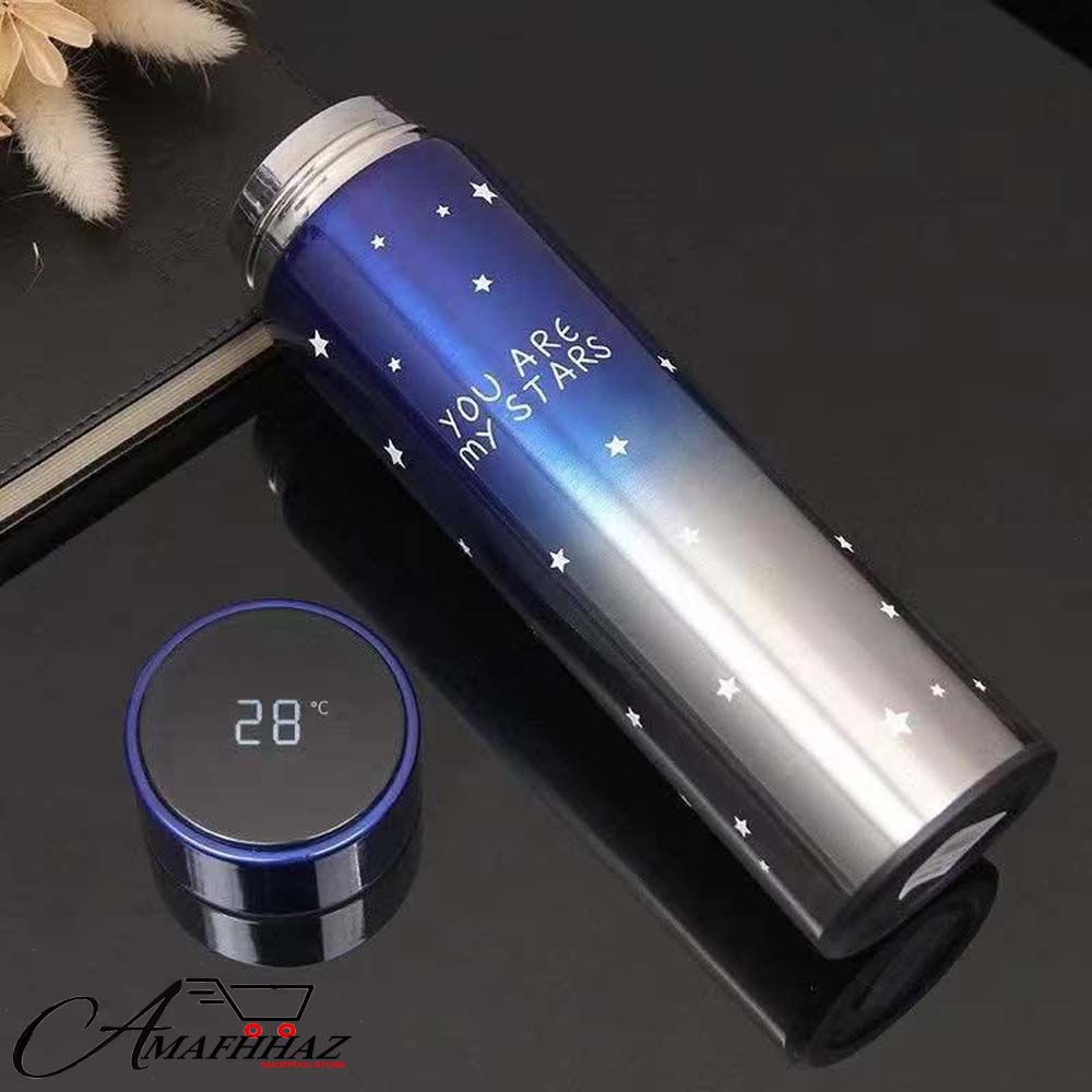 Temperature Water Bottle