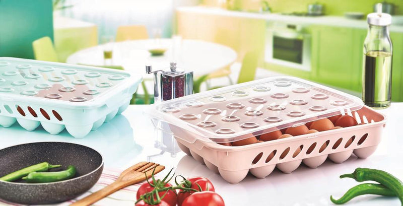24 Grid Egg Tray with Lid