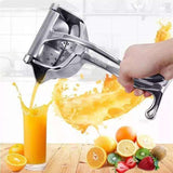 Fruit press juicer